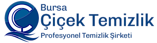 çiçek temizlik bursa